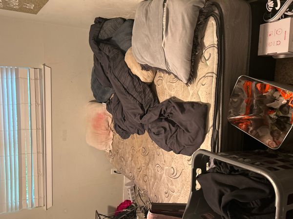 La maison de Damaiya