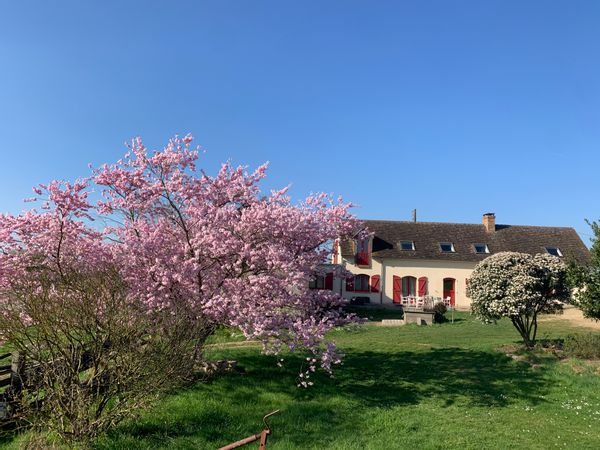 Ferme maraichère au coeur du Perche Sarthois à 25 min du Mans sur un terrain de 4 ha.