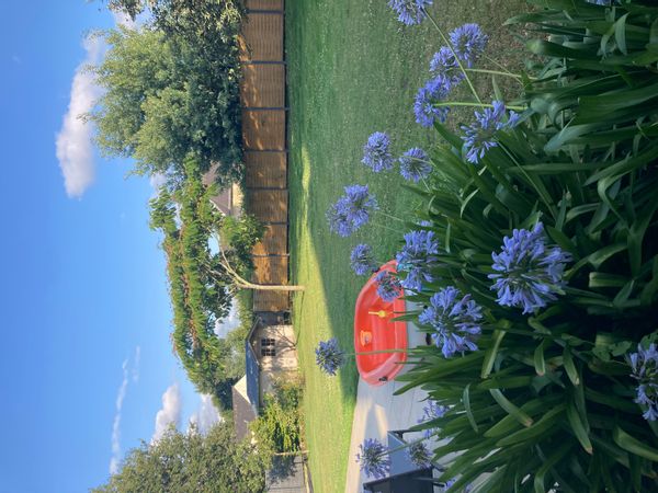 Cocon familial au coeur de la réserve naturelle du Morbihan