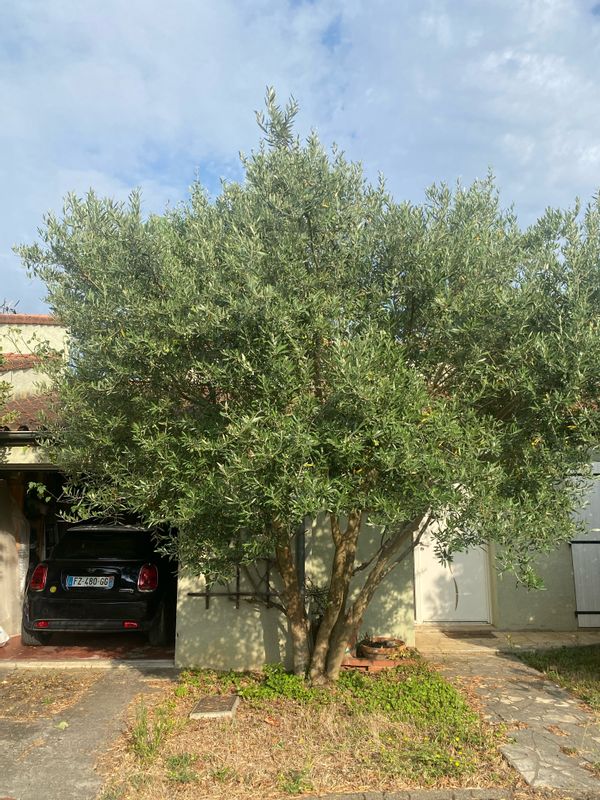 Maison au calme avec jardin