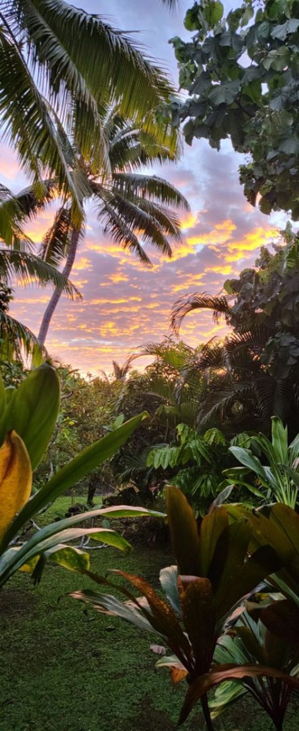 Natural Mystic House