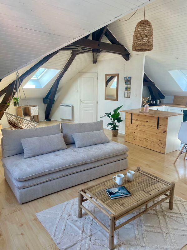 Le Petit Lamartine - T2 Hypercentre Aix-les-Bains