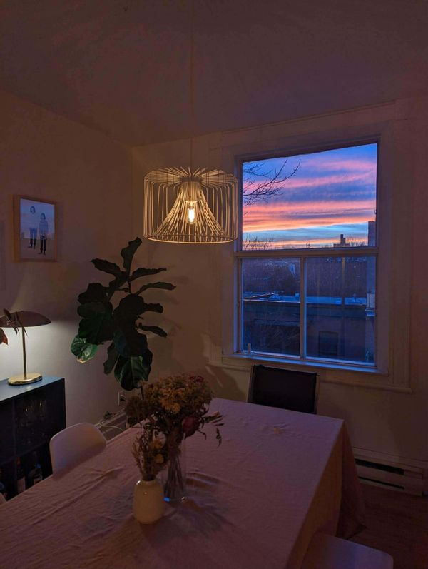 Havre lumineux dans l’un des plus beaux quartiers de Montréal