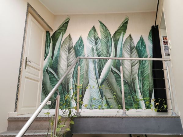 Cassiopée à Marseille