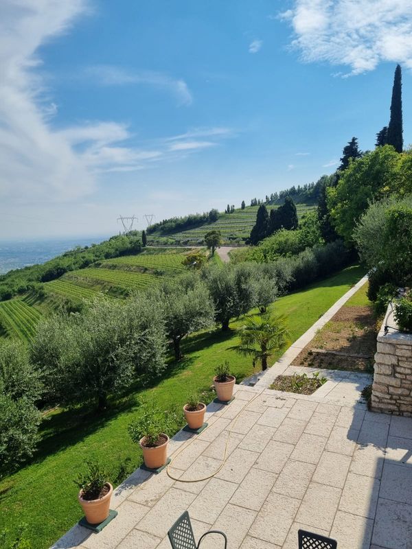 Casa de Roberta_Fella