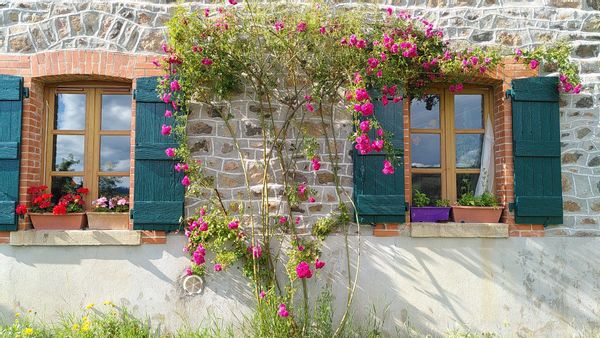 Maison ancienne éco-rénovée entre Lyon et le lac des sapins