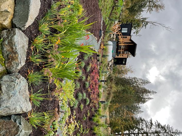 Luxury Tiny House in the Mountains