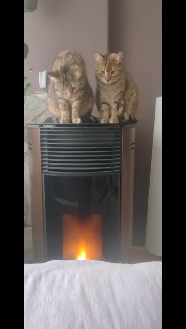 La maison de Beatriz