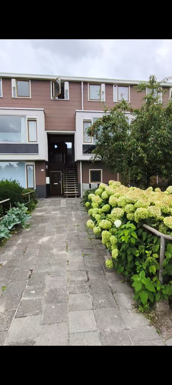 Mohammed Ameen's house