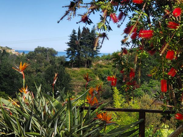 Casa di Elodie