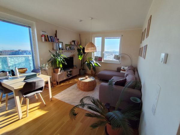 La maison de Dimitar