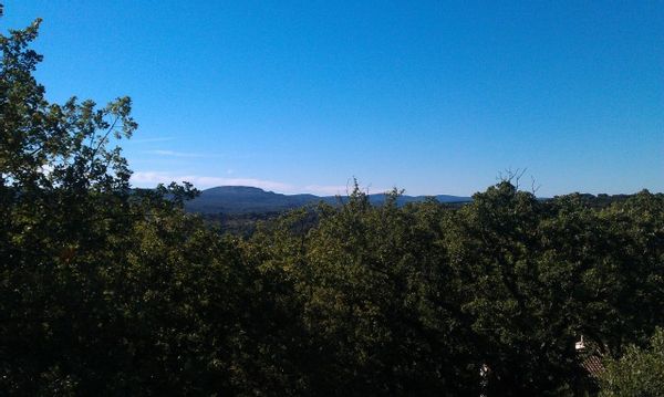 Maison en bois pour amoureux de la nature (Little Wood House behind the trees)