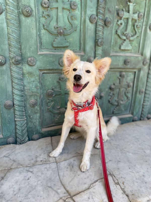 Appartement 2 chambres au cœur de la vieille ville d'Amelia