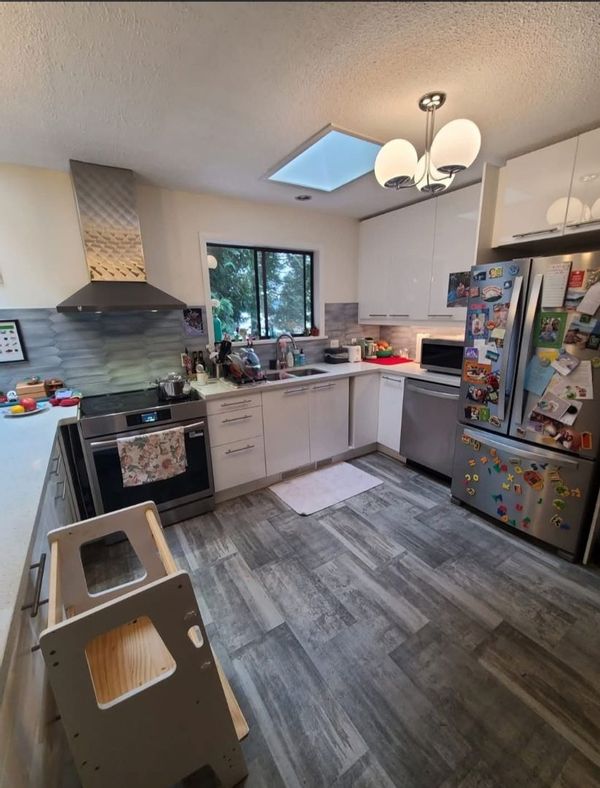 peaceful cottage in the woods