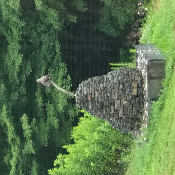 La maison de Steve, Victoria