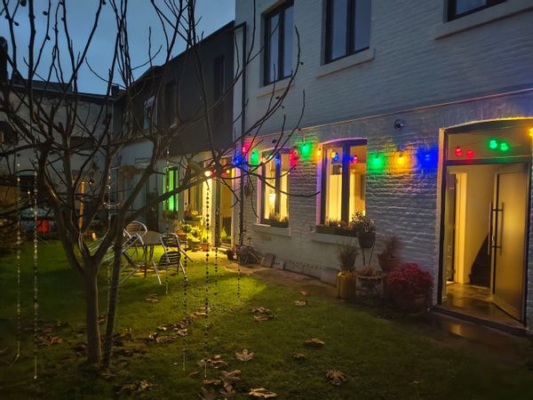 Le nid de David et Marie au fond du jardin