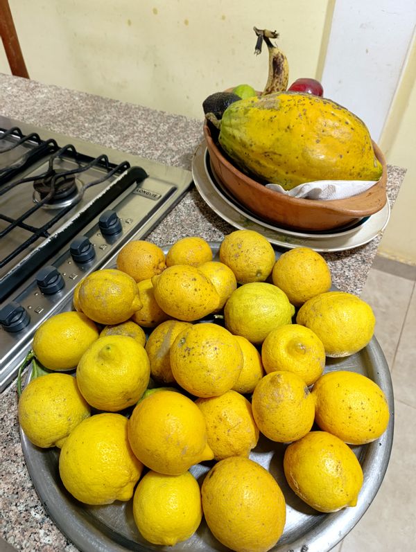 La maison de Celeste