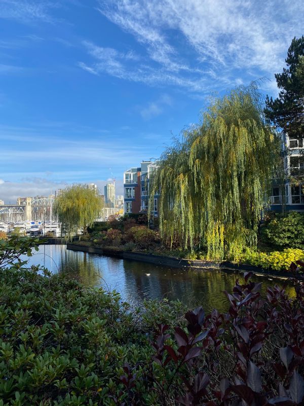 Valerie's house is a lovely 2 level suite in Granville Island. With a large deck with a view.