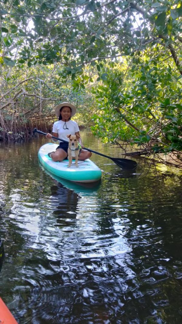 La maison de Alexander