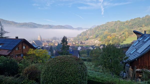 Noël en Alsace, entre stations de ski et route des vins