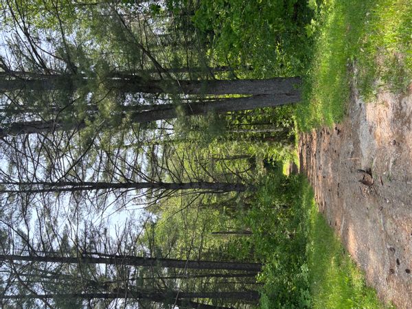 La maison de Melissa