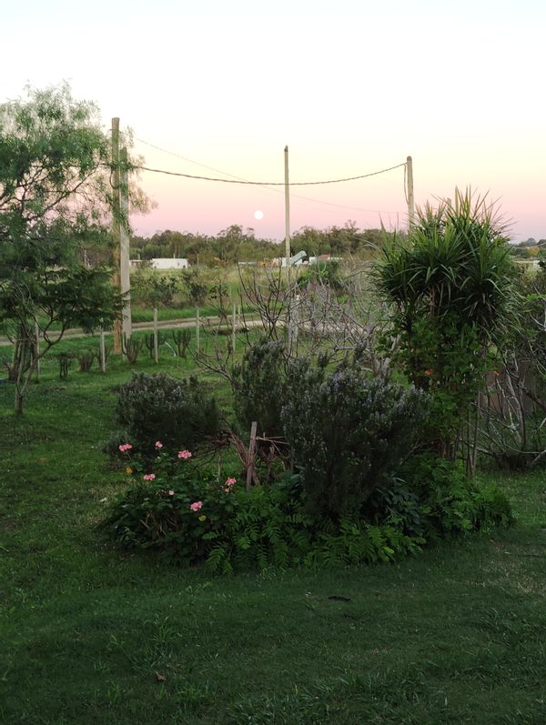 La maison de Gustavo