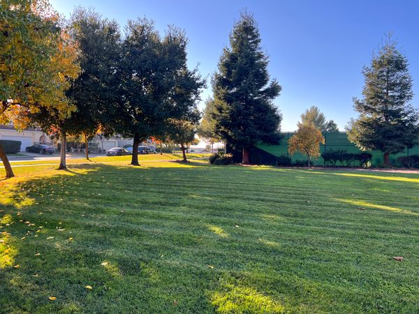 Sunny charming primary suite (1st floor/private entry) in the heart of Silicon Valley