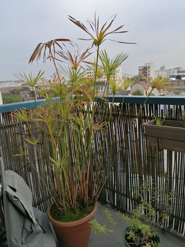 Studio pratique et ensoleillé dans résidence calme au pied du métro