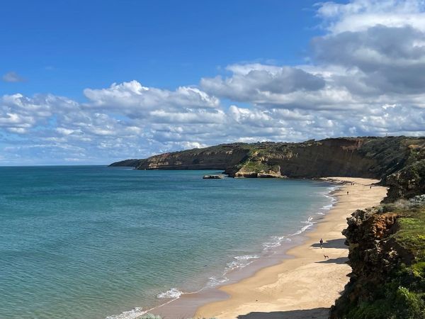 Light-filled home at the start of the iconic Great Ocean Road. Beaches, trees, paradise!
