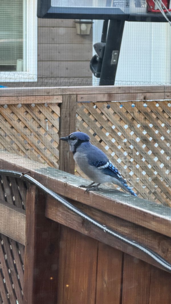 La maison de Antoine
