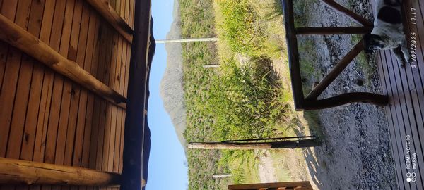 MARGARITA ELIZABETHina kuća