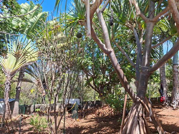Ancienne maison créole , près du célèbre quartier de pêcheurs de Terre-Sainte