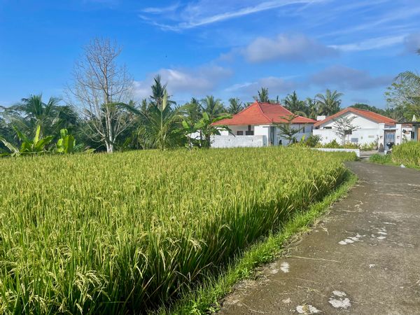 La maison de Marieke