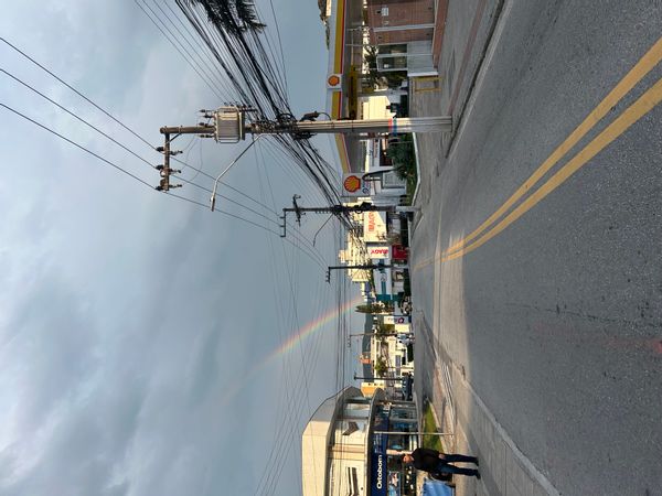 Leticia Silvaina kuća