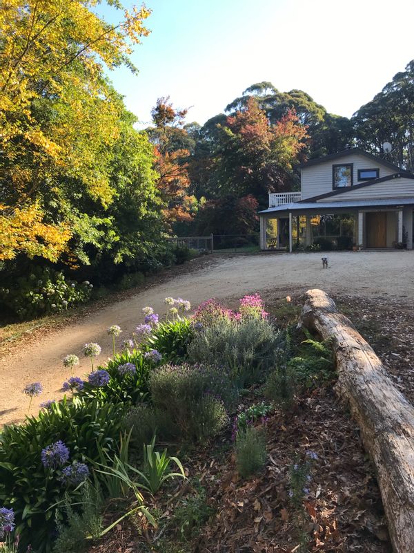 Mountainside, an aptly named private retreat in the heart of the Macedon Ranges. Glorious garden.