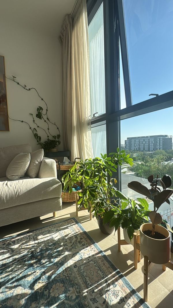 Aysha's house Stylish, super clean, lots of plants, books, comfy sofa & bed, beautiful sunrise view.