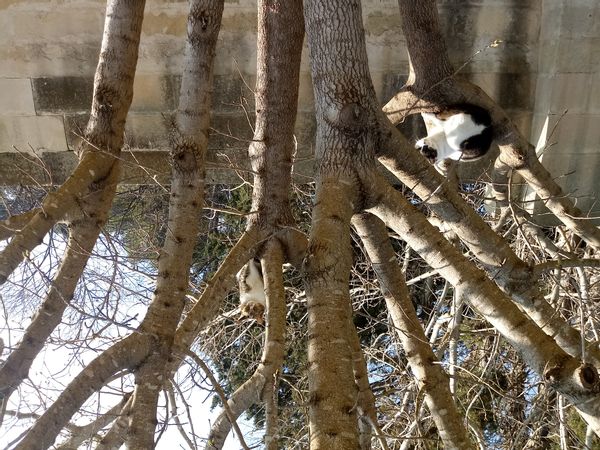 Casa con giardinetto vicino al mare Adriatico