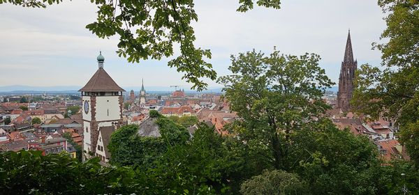 Hübsches Reihenhäuschen im beliebten Freiburger Stadtteil Wiehre