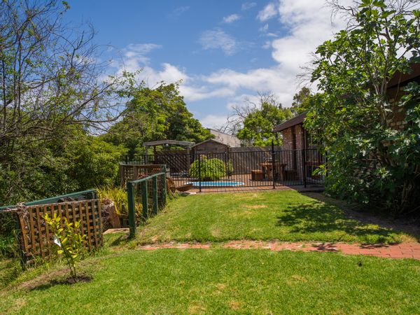Midcentury house in the trees