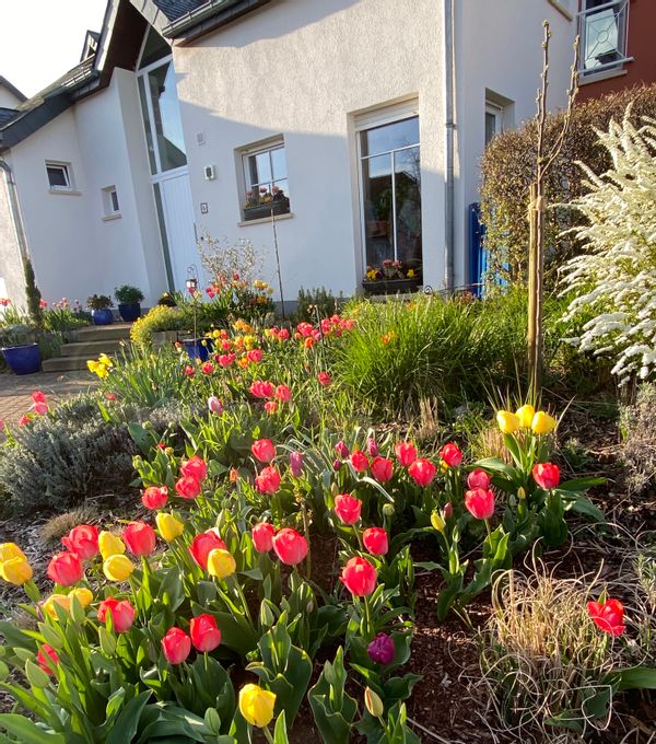 Jean-Pol & Elisabeth's house