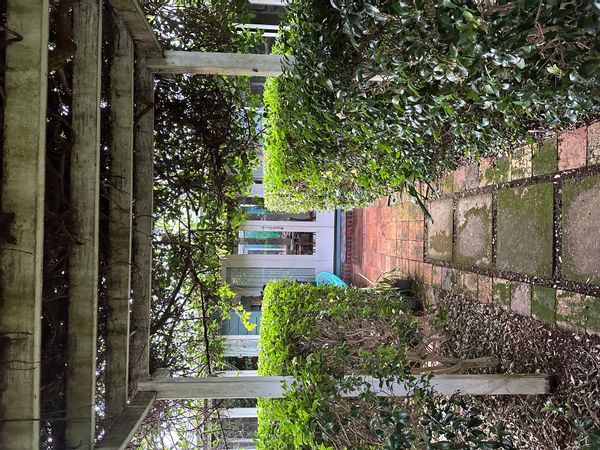 Artists retreat  on Tamborine Mountain.