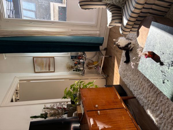 Lou's house