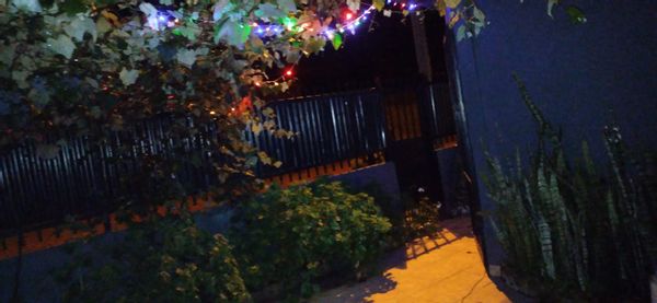 hector Arielina kuća