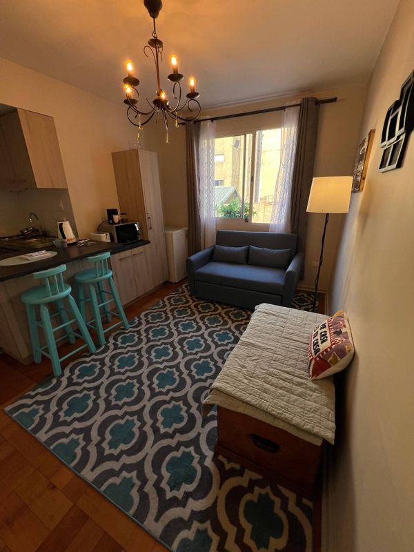 Central Santiago apartment near Bellas Artes & Lastarria