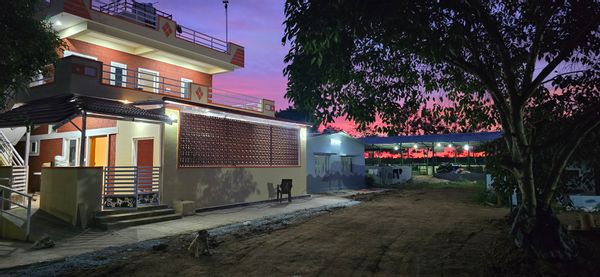A beautiful farm house with cows, country hens, dogs and lots of birds that visit the farm.