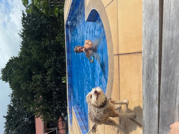 Beautiful, expansive, and bright condo opening to a large, peaceful private pool and deck.