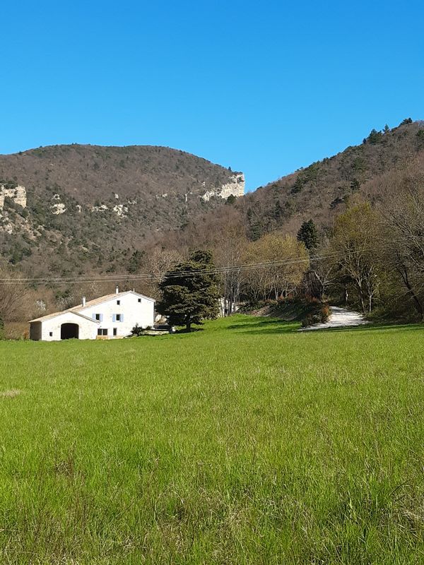 Sidonie et Oliviers hus