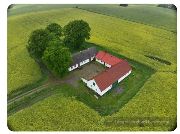 House with own garden close to the Sea