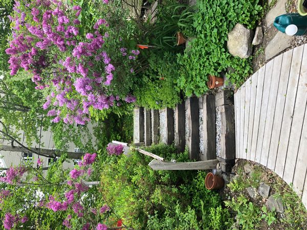 Light-filled home near the ocean