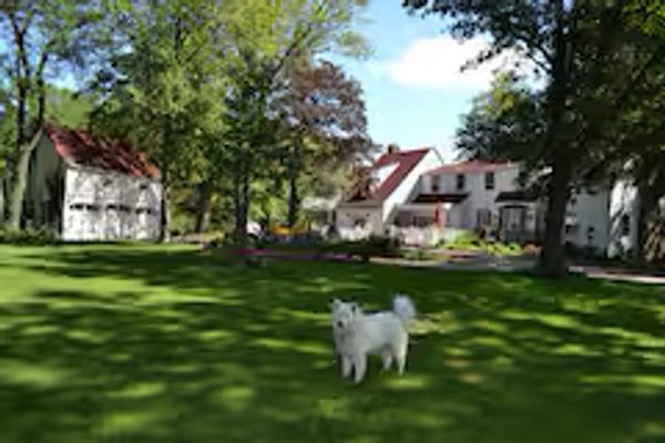 Coachhouse studio apartment on Private lane in a Tranquil setting with Beautiful Gardens and Pool.